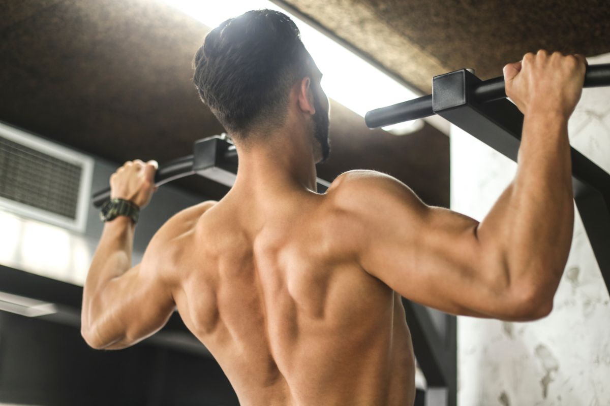 Best Back Workout Routine 